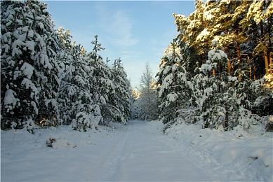 EA表示玩家对《战地2042》测试版反馈“非常积极”